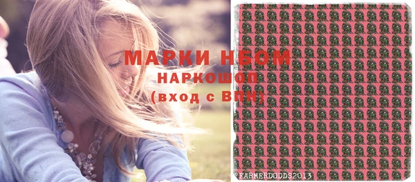 ГАЛЛЮЦИНОГЕННЫЕ ГРИБЫ Карталы