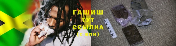 эйфоретик Карпинск