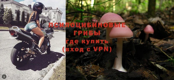 эйфоретик Карпинск