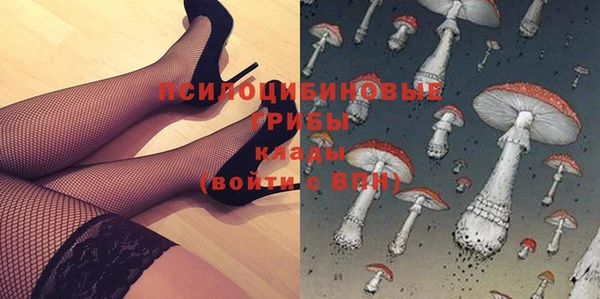 эйфоретик Карпинск