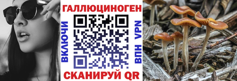 Купить где  Красный Холм  Галлюциногенные грибы ЛСД 