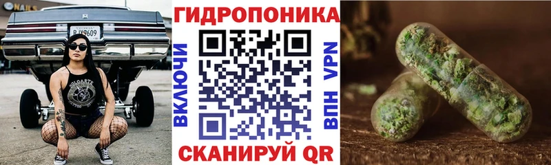 Купить закладки  Красный Холм  Бошки марихуана Ganja 